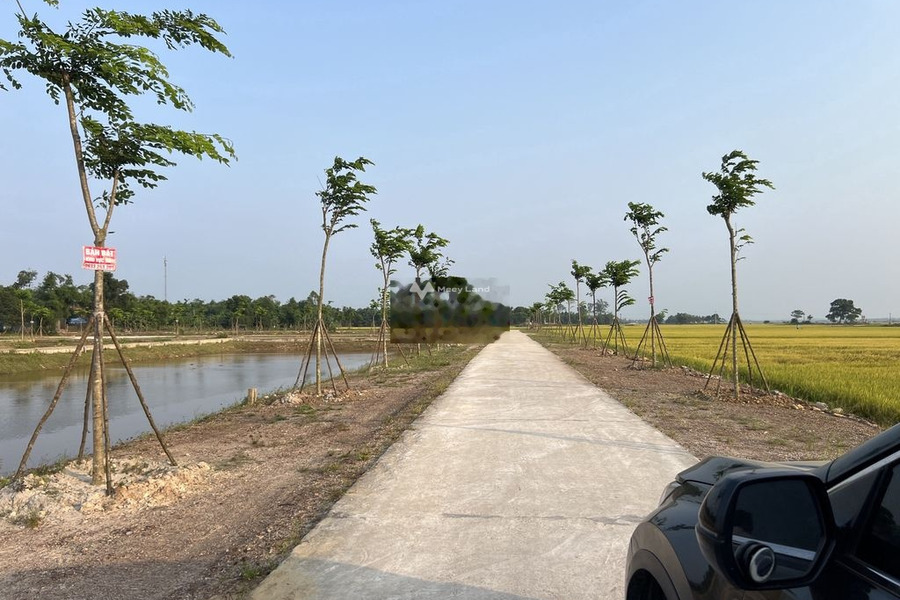 Tọa lạc ngay trên Phú Lương, Phú Vang bán đất, giá bán công khai 750 triệu, hướng Đông Bắc diện tích vừa phải 160m2-01