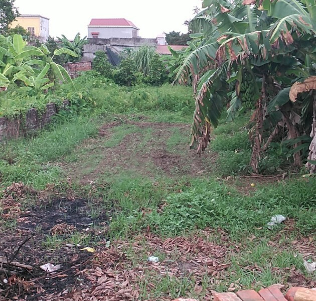 Bán lô đất mặt đường liên huyện xã Lô Giang, giá tàu nhanh 380m2, mặt tiền 7,2m-01