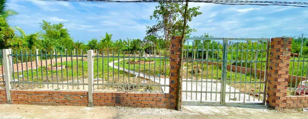 1.1 tỷ bán đất có diện tích chuẩn 500m2 vị trí nằm ở Phước Lâm, Cần Giuộc-02