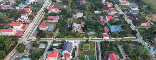 Bán đất Thành Hưng, Thanh Hóa diện tích thực như trên hình 139m2-03