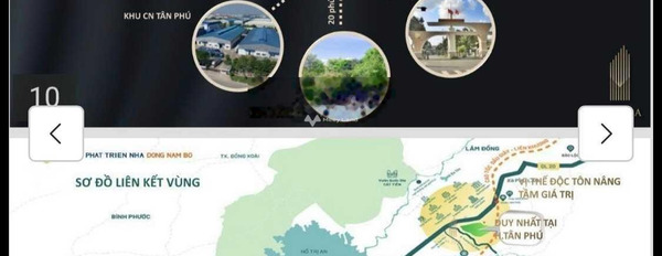 Nằm trong mức 1.15 tỷ bán đất diện tích khoảng là 100m2 vị trí thuận lợi ngay ở Tân Phú, Đồng Nai-03