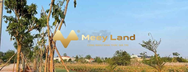 1.1 tỷ bán đất có diện tích là 174m2 vị trí trung tâm Ngãi Giao, Bà Rịa-Vũng Tàu-03