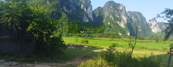 Cao Sơn, Hòa Bình bán đất giá bán sang tên chỉ 1.25 tỷ có một diện tích sàn 360m2-02