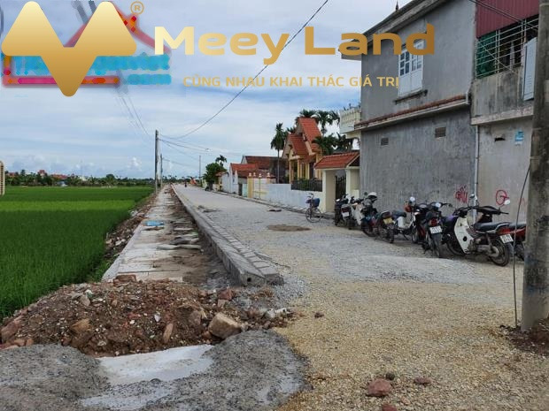 Bán đất 1.45 tỷ Thụy Hương, Kiến Thụy có một dt là 131 m2, với đường đi ngang 9 mét-01