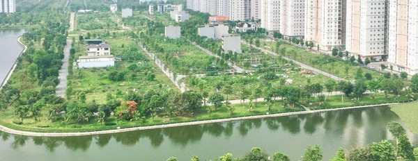 Bán liền kề với diện tích rộng 100m2 vị trí đặt ở Kiến Hưng, Hà Nội giá siêu rẻ-03