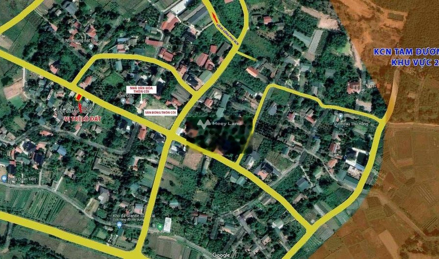 Giá 1.54 tỷ bán đất Có tổng diện tích 1269m2 vị trí mặt tiền nằm ngay Tam Dương, Vĩnh Phúc-01