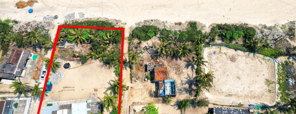 Siêu phẩm đất thổ cư view trực diện biển gần Resort Hội An, 2500m2 XD tự do giá chỉ 11tỷ2 sổ riêng. -03