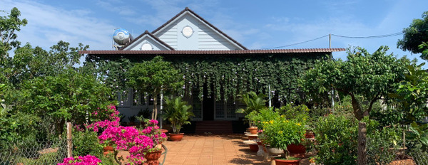Bán nhà vườn mái Thái tuyệt đẹp (15x60m) gần hồ Kim Long, full nội thất giá trị lớn-02