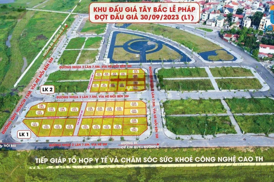 Bán đất giá 6,67 tỷ, diện tích 115m2 vị trí mặt tiền tọa lạc ngay ở Cao Tốc Nhật Tân Nội Bài, Hà Nội-01