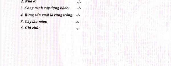 Từ 3 tỷ bán đất diện tích tổng 400m2 vị trí mặt tiền ở Tả Van, Sa Pa-02