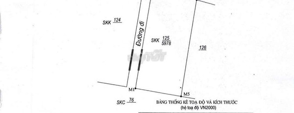 Ngay Bình Chánh, Quảng Ngãi bán đất 19 tỷ diện tích dài 20000m2-03