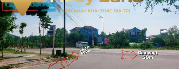 Giá rẻ chỉ 1.78 tỷ bán đất dt thực là 76 m2 vị trí đặt vị trí nằm ở Hương Thủy, Thừa Thiên Huế-02