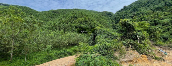 Bán đất có diện tích quy ước 40000m2 vị trí đặt ở trung tâm Lương Sơn, Hòa Bình-02