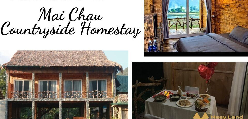 Mai Chau Countryside Homestay, một căn homestay Hòa Bình đầy vẻ đồng quê đúng như cái tên của nó vậy