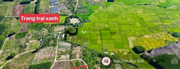 Gần Diên Tân, Diên Khánh bán đất, giá cực êm 345 triệu diện tích tiêu chuẩn 700m2-02