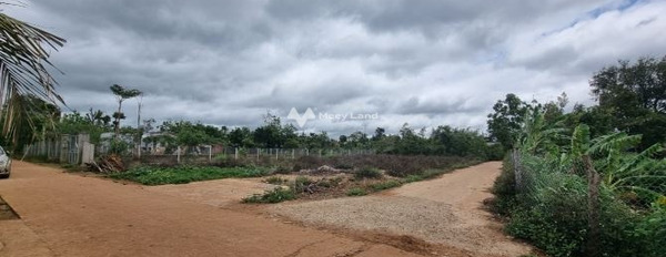 Cư Kuin, Đắk Lắk 800 triệu bán đất, hướng Bắc diện tích vừa phải 220m2-03