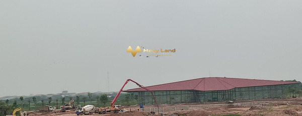 Bán đất dt tiêu chuẩn 1000 m2 ở Mỹ Hào, Hưng Yên, hướng Tây Nam-03