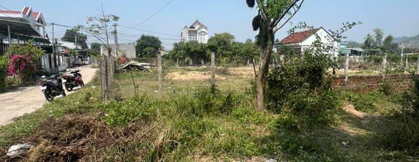 Cần bán đất huyện Tuy Phước, Bình Định, giá 4 tỷ-02