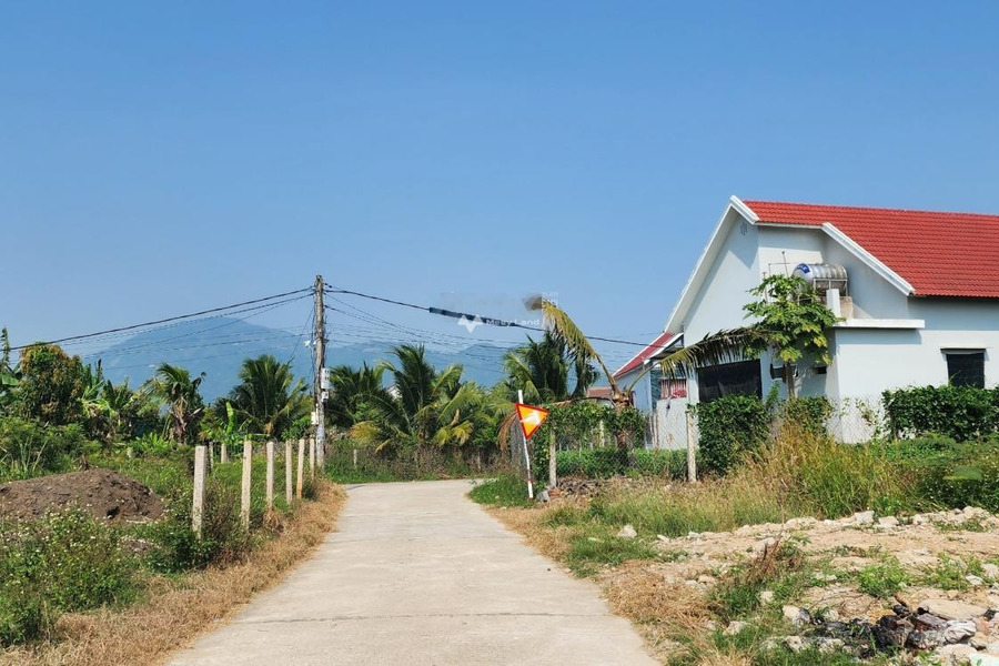 Bán đất tại Diên Sơn Diên Khánh, diện tích 204m2 mặt tiền 13m full thổ cư, khu vực dân cư đông đúc -01