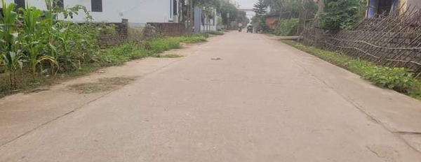 Cần bán đất huyện Lương Tài tỉnh Bắc Ninh giá 4 triệu/m2-02