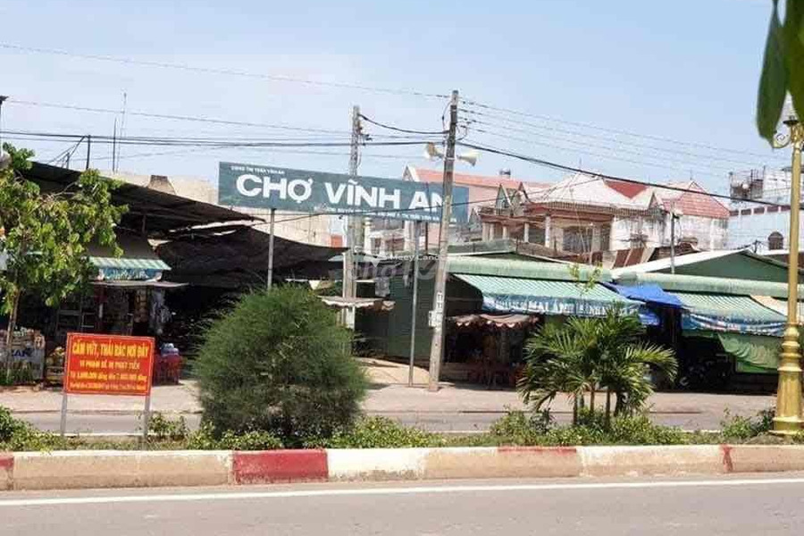 Bán đất 900 triệu Vĩnh An, Đồng Nai diện tích thực 89m2-01