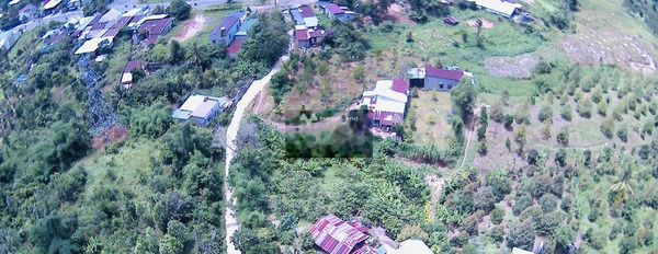 Bán đất 4 tỷ Ma Đa Guôi, Lâm Đồng diện tích tầm trung 1723m2-03