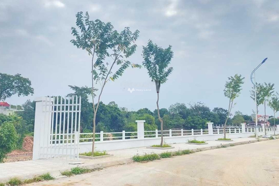 Mê Linh, Hà Nội bán đất giá cực êm chỉ 7.3 tỷ diện tích rộng rãi 316m2-01