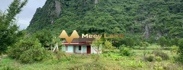 Vị trí đẹp tọa lạc tại Xã Hải Vân, Huyện Như Thanh bán đất, giá bán khoảng 12.5 tỷ có một diện tích 1221 m2-03