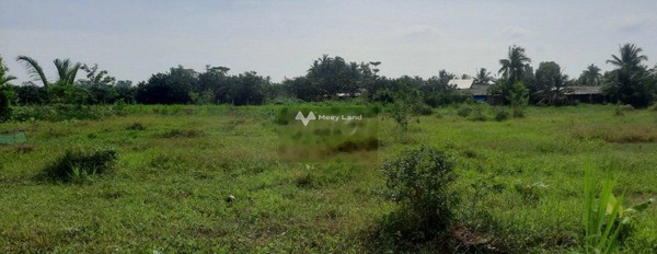 Mặt tiền tọa lạc tại Mang Thít, Vĩnh Long bán đất giá bán rẻ chỉ 420 triệu diện tích đúng với trên ảnh 125m2-02
