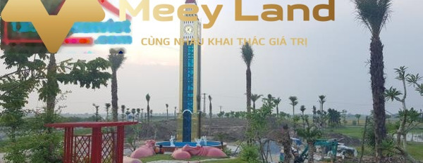 Cần bán mảnh đất 100m2 xã Thái Phương, huyện Hưng Hà, giá 950 triệu-03
