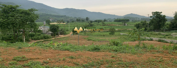 Bán đất diện tích rộng 1800m2m view đồi núi tại Vân Hòa Ba Vì, Hà Nội-02