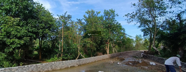Bán 10x60m đất khu Giàn Gừa, Phong Điền, Cần Thơ-02