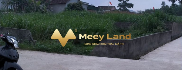 Vị trí đặt ở tại Nghi Kiều, Nghệ An bán đất, giá siêu rẻ 625 triệu diện tích tổng là 334 m2-02