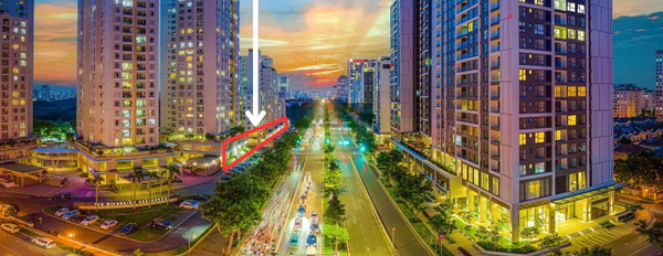 Tân Phong, Hồ Chí Minh bán shophouse có một diện tích là 214m2 bãi đậu xe rộng-03