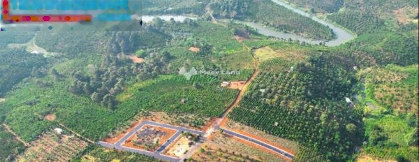 Giá giao động chỉ 700 triệu bán đất có diện tích 125m2 mặt tiền tọa lạc ở Tân Lạc, Lâm Đồng-02