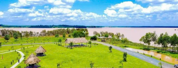 Vị trí mặt tiền ngay Lộc Quang, Bình Phước bán đất, giá hạt dẻ chỉ 299 triệu có diện tích 1000m2-03