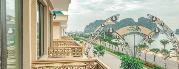 Green Dragon City, trung tâm Cẩm Phả, nằm bên đường bao biển, đầu tư an toàn, dễ dàng thanh khoản-03