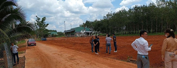 Tại Long Hà, Bình Phước bán đất 600 triệu có diện tích gồm 200m2-03