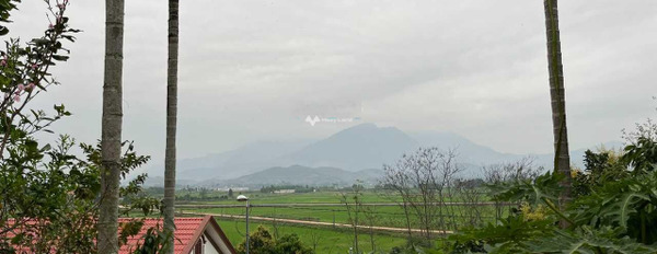 Bán đất vị trí thuận lợi nằm trên Tu Vũ, Thanh Thủy. Diện tích 618,3m2-03