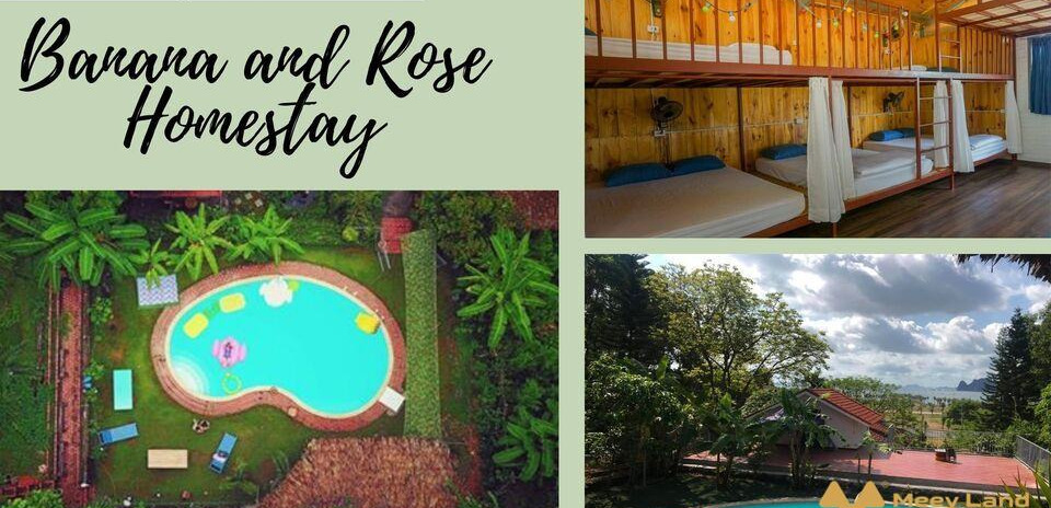 Cho thuê Banana and Rose Homestay