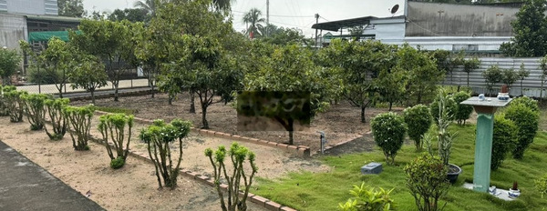 Cần bán gấp Nhà vườn hơn 1.000 m2 CHÍNH CHỦ gần UBND xã Phú Điền -03