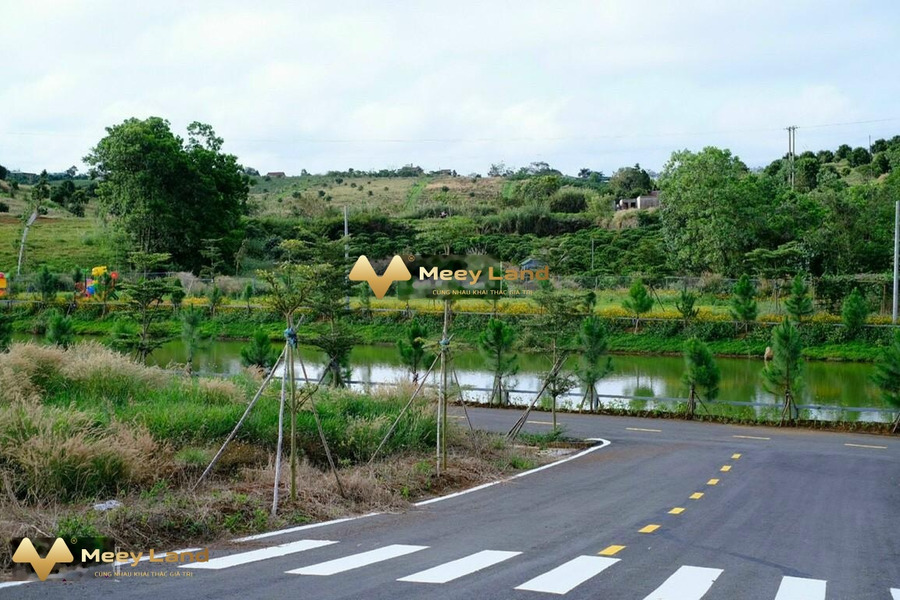 Tại Bảo Lộc, Lâm Đồng bán đất , hướng Đông Nam có diện tích trung bình 350 m2-01