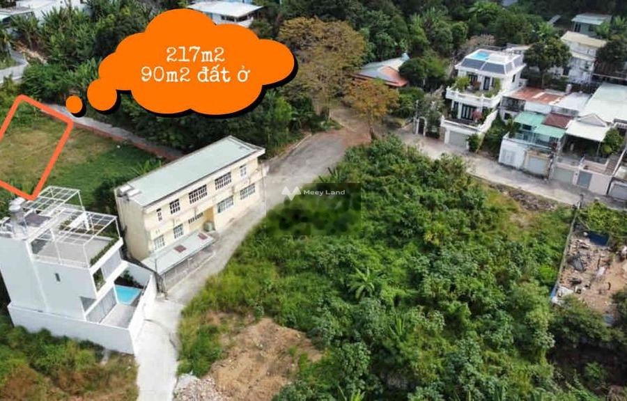 12.5 tỷ bán đất có diện tích khoảng 217m2 vị trí nằm ở Trần Phú, Vũng Tàu, hướng Đông-01