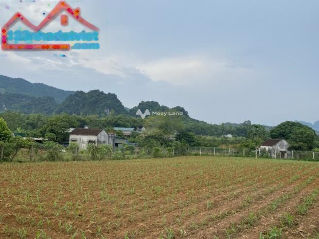 1.55 tỷ bán đất có diện tích tổng 1600m2 vị trí đẹp Cao Phong, Hòa Bình-01