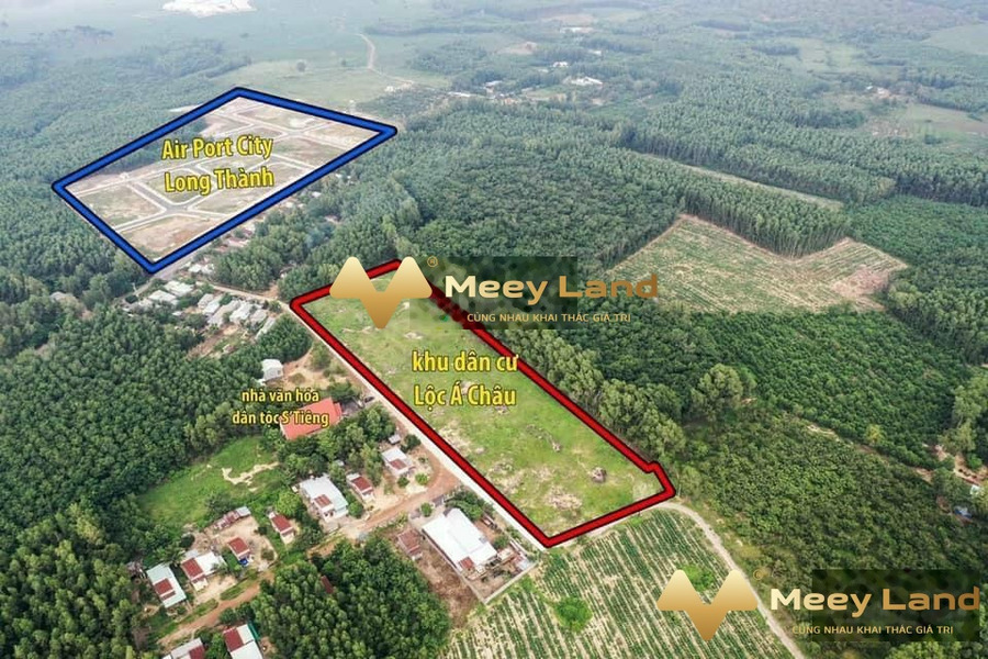 Bán đất 1000m2, vị trí đặt ở tại Thị Trấn Long Thành, Huyện Long Thành-01