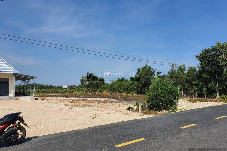 Giá bán cực mềm từ 9.5 tỷ bán đất diện tích gồm 1028m2 vị trí thuận lợi tọa lạc gần Lê Quang Định, Bình Thuận-01