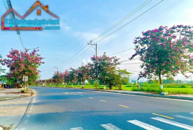 Đầu tư bất động sản bán đất Điện Bàn, Quảng Nam giá gốc chỉ 812 triệu diện tích thực khoảng 130m2-01