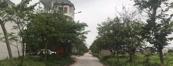 Bán đất thương mại dịch vụ lâu dài khu Trường Thịnh, Hải Dương, 600m2, mặt tiền 20m-02
