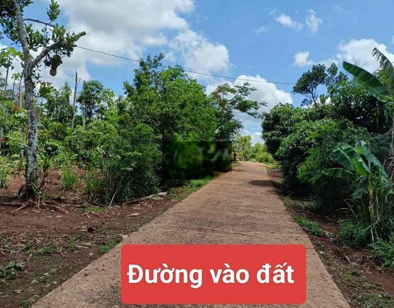 ĐẤT THỊ XÃ BUÔN HỒ Dt: 6*28 thổ cư 60m -01