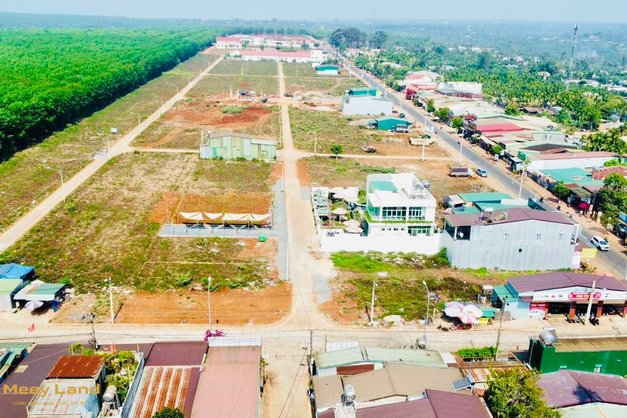Khu dân cư Phú Lộc - Krông Năng, giá chỉ 590 triệu, đất full thổ, bìa hồng riêng-01